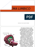 Sistema Limbico