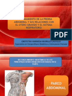 Funcionamiento de La Prensa Abdominal