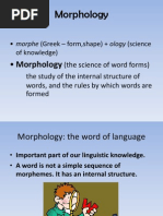 Morphology