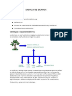 ENERGIA DE BIOMASA para Exponer