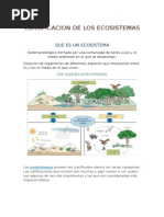 Clasificacion de Los Ecosistemas