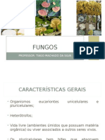 Apresentação - Fungos