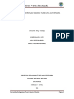 Informe Practica Estratigrafia Ubaté