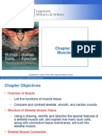 Chapter 7 Muscles Power Point