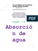 2b - Homeostasis Absorcion Del Agua - Las Iguanas