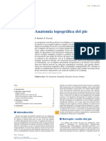 Anatomía Topográfica Del Pie