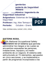 Sem.7 Sistemas Nosa, Dupont, DNV, Istec, Otros