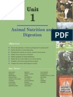 Animal Nutrition and Digestion