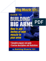 Building Muscle101 Big Arm Guide PDF