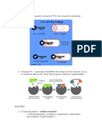 Peroxidases, Hydroxylases)