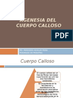 Agenesia Del Cuerpo Calloso