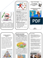 Cuidados Del Sistema Digestivo