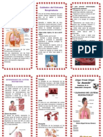 Triptico - Cuidaddos Del Sistema-Respiratorio