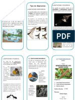 Triptico-Adaptación de Los Seres Vivos