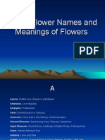 List of Flower Names and Meanings of Flowers