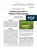 Pythium Root Rot in Tobacco Float Systems