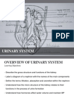 2.0 Urinary System