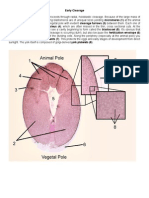 Embryology