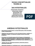 Amebas Intestinales