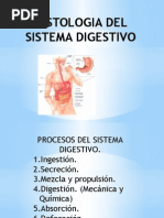 Histología Del Sistema Digestivo