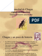 Enfermedad de Chagas Trypanosoma Cruzi