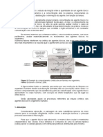 Toxicocinética e Toxicodinâmica