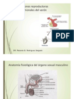 Funciones Reproductoras y Hormonales Del Varon-1