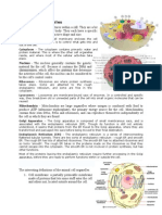 Animal Cell Organelles