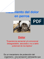 Control Del Dolor en Perros