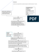 PATHOPHYSIOLOGY of Neurocysticercosis