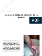 Complejo Cutáneo Vascular de La Pierna