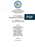 Undifferentiated Schizophrenia