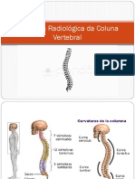 Anatomia Radiológica Da Coluna Vertebral