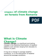 Climate Change and Forests