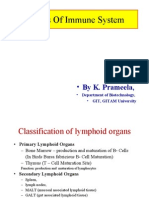 Organs of The Immune System