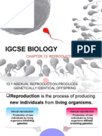 Igcse Biology Reproduction