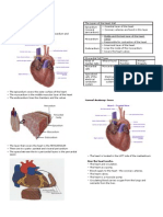 Cardiovascular System