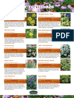 Perennials Catalog