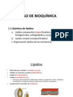 Lipidos PDF