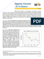 Aag On Philippine Forest - Final