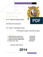 Informe-N 1