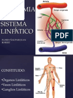 Sistema Linfático