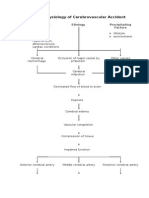 Pathophysiology of Cerebrovascular Accident