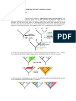 Cladogramas