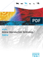 Animal Reproduction Technology: Equine