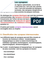 T. Nerveux 3. 1ppt