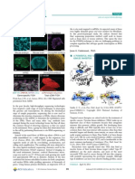 Reading Rnas in The Cell: From Lee, J. H., Et Al., Science, 2014, 343, 1360. Reprinted With Permission From AAAS