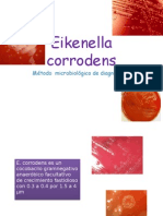 Eikenella Corrodens