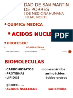 Ac - Nucleicos