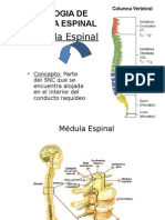 3.-Morfoliogia de La Medula Espinal